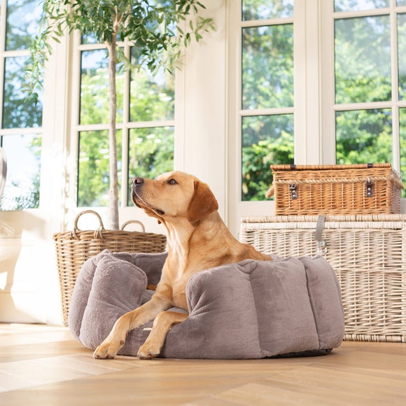 Lords and Labradors High Wall Dog Bed