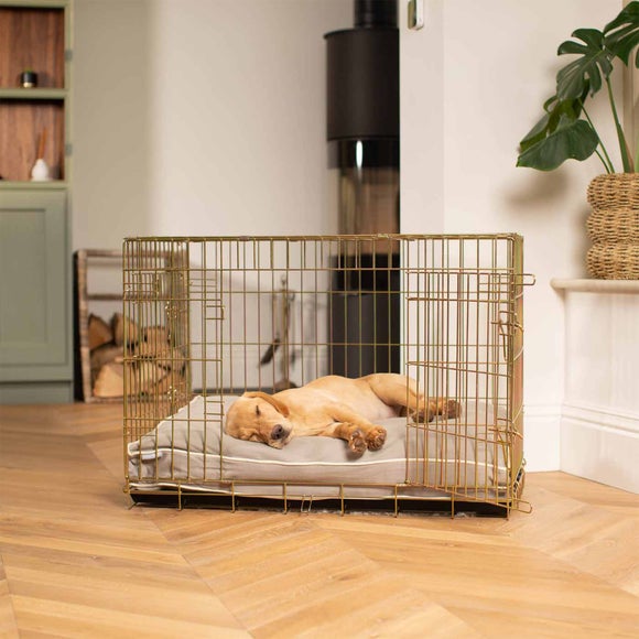 Lords and Labradors Savanna Dog Cushion