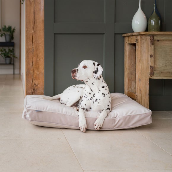 Lords and Labradors Velvet Dog Cushion