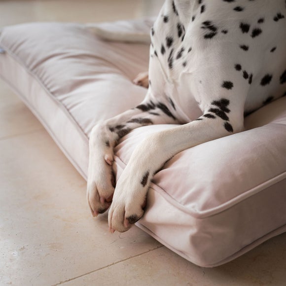 Carousel navigation image position 2 of 2