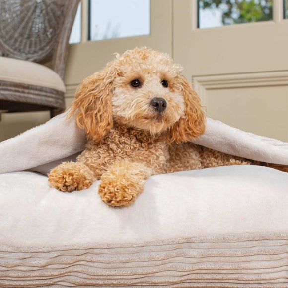 Carousel navigation image position 2 of 3