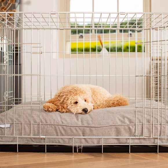 Carousel navigation image position 2 of 3