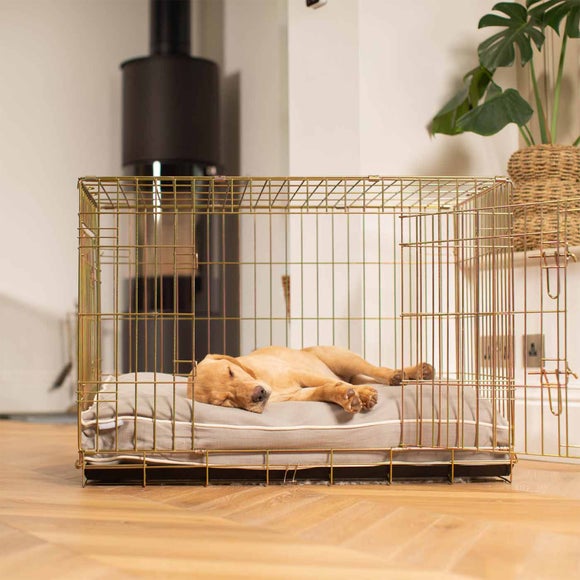 Carousel navigation image position 2 of 3