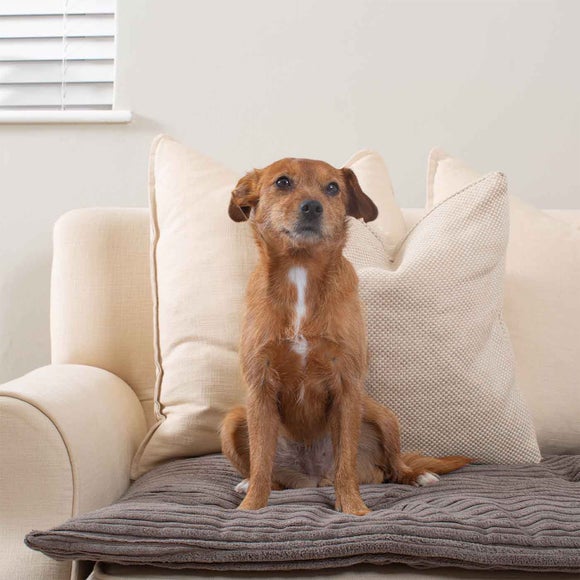 Carousel navigation image position 3 of 3