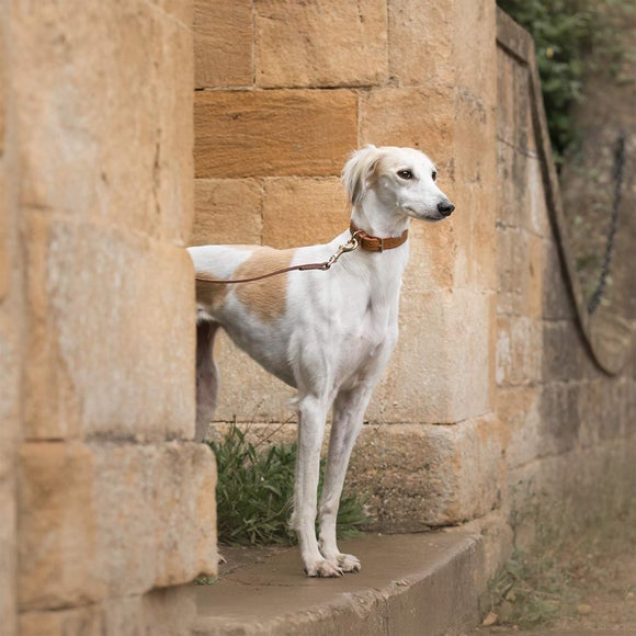 Carousel navigation image position 3 of 3