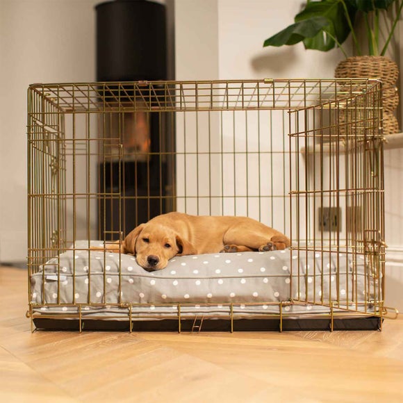 Click to view product details and reviews for Lords And Labradors Spotty Dog Cushion.