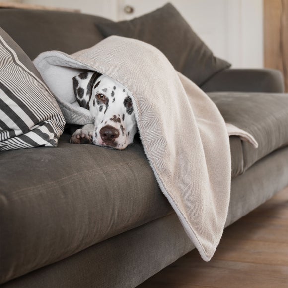 View Lords And Labradors Herringbone Tweed Dog Blanket View Lords And Labradors Herringbone Tweed Dog Blanket