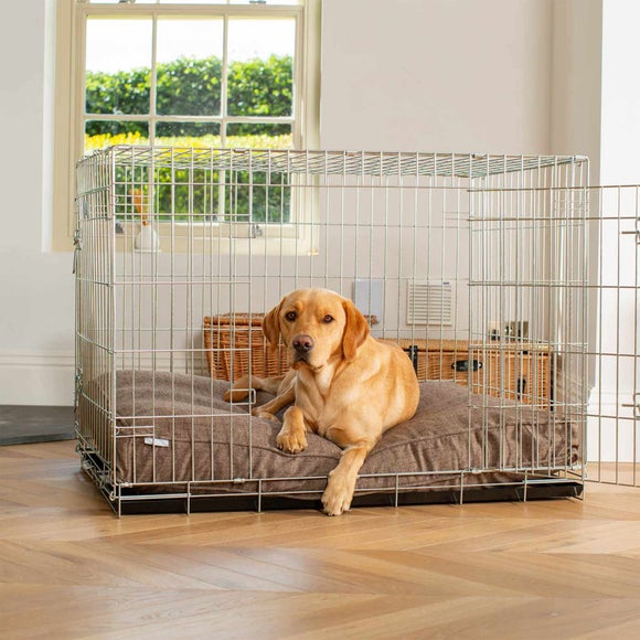 Click to view product details and reviews for Lords And Labradors Inchmurrin Dog Cushion.