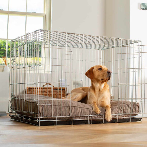 Carousel navigation image position 3 of 3