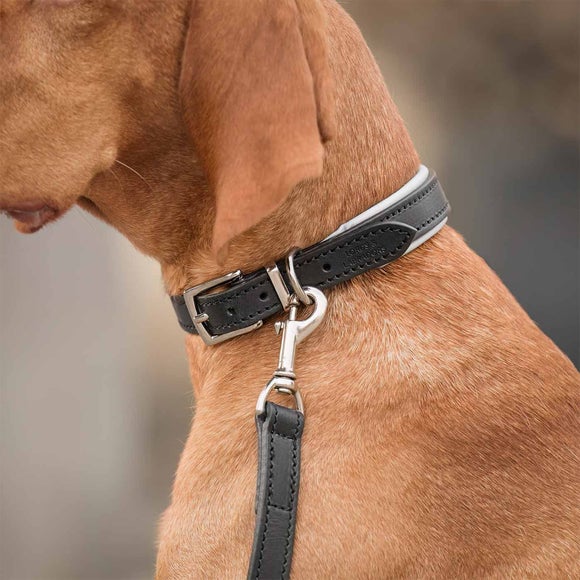 Lords and Labradors Italian Padded Leather Dog Collar