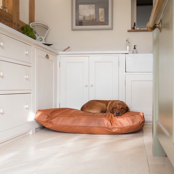 Lords and Labradors Rhino Leather Dog Cushion