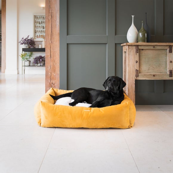 Lords and Labradors Velvet Box Dog Bed