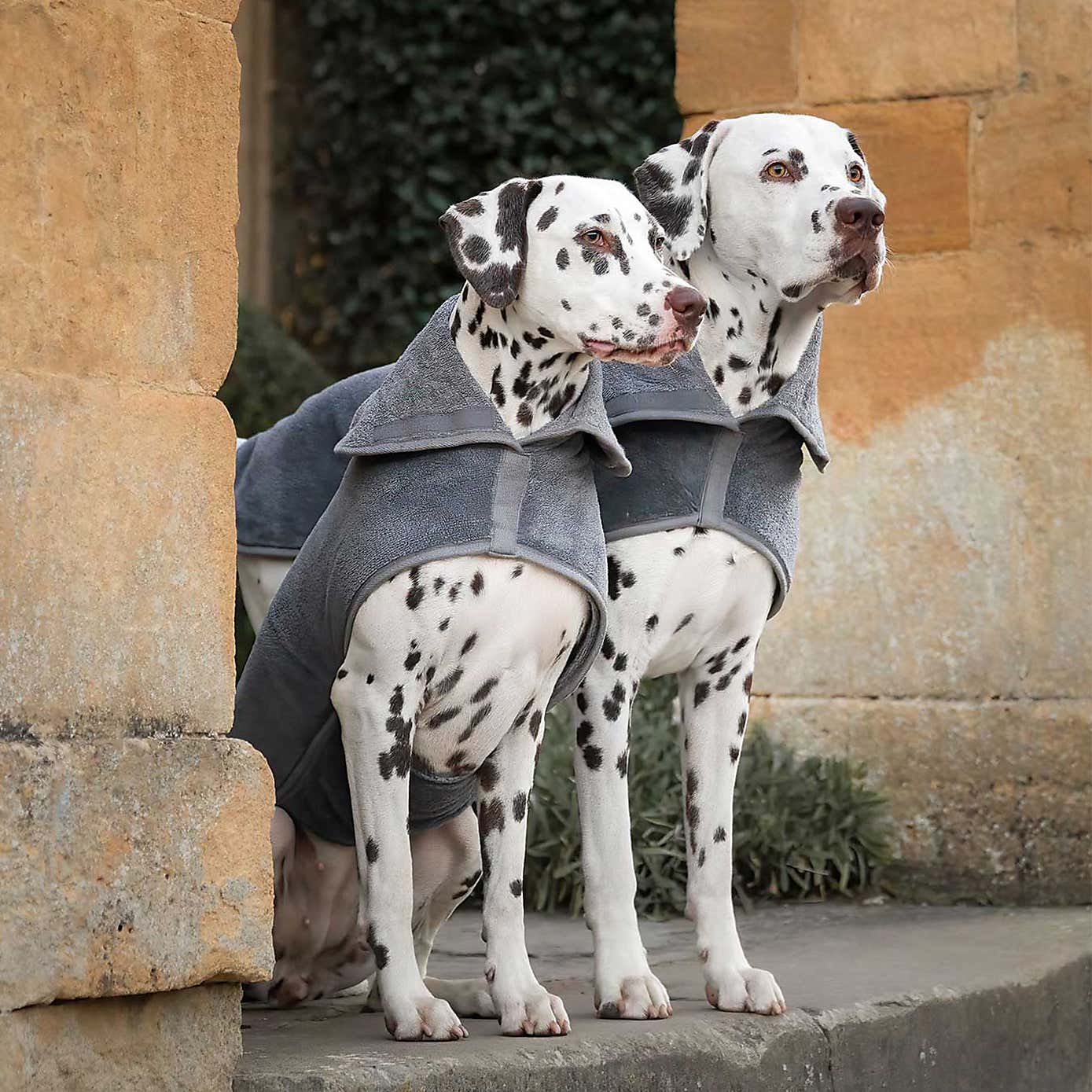 Carousel zoom image position 1 of 3