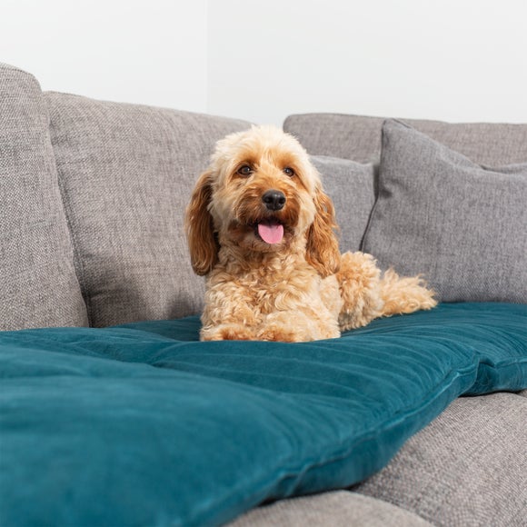 Carousel navigation image position 2 of 2