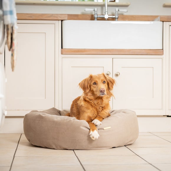 Lords And Labradors Velvet Donut Dog Bed