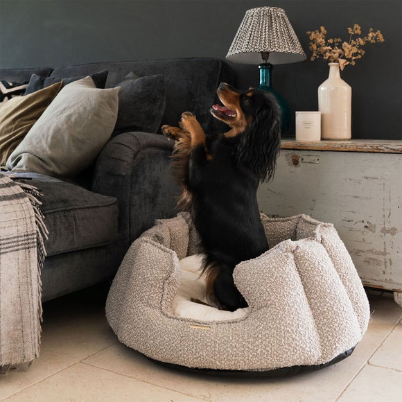 Lords and Labradors Boucle High Wall Dog Bed