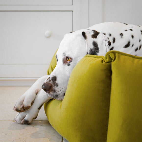 View Lords And Labradors Velvet High Wall Dog Bed View Lords And Labradors Velvet High Wall Dog Bed
