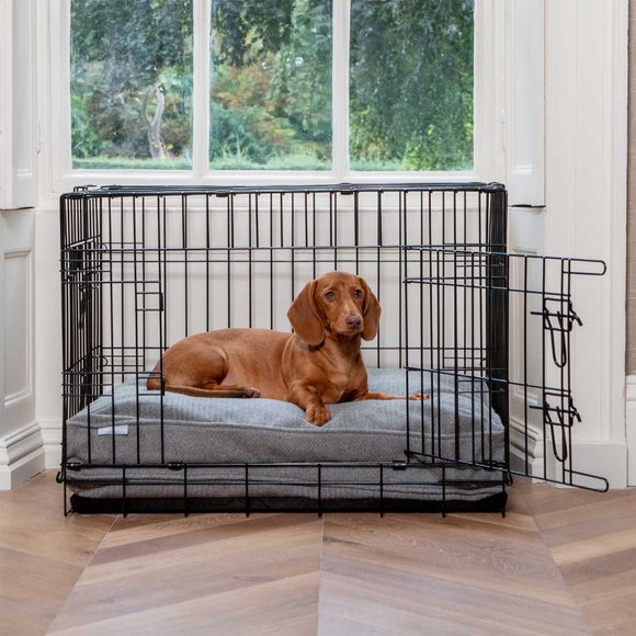 Lords and Labradors Herringbone Dog Cushion