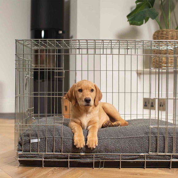 Carousel navigation image position 2 of 3