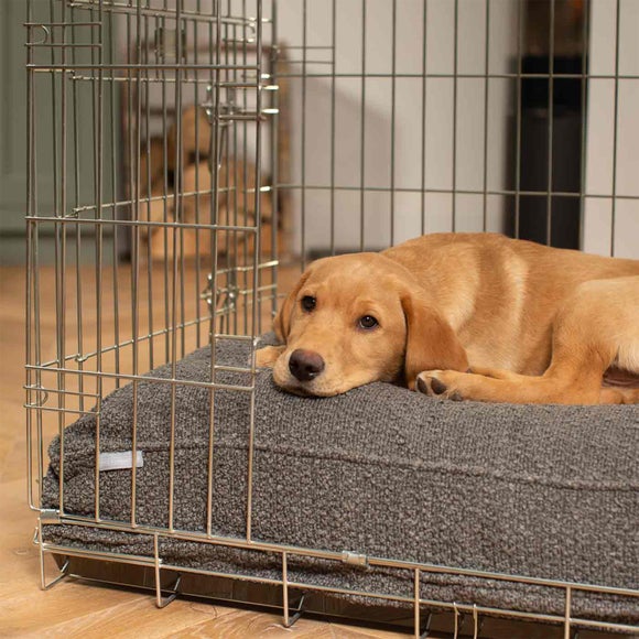 Carousel navigation image position 3 of 3