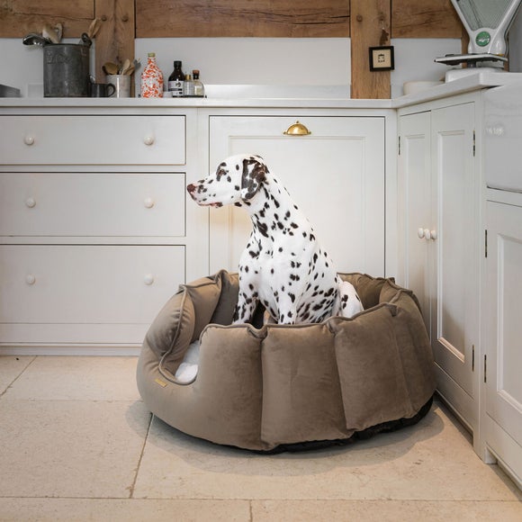 View Lords And Labradors Velvet High Wall Dog Bed View Lords And Labradors Velvet High Wall Dog Bed