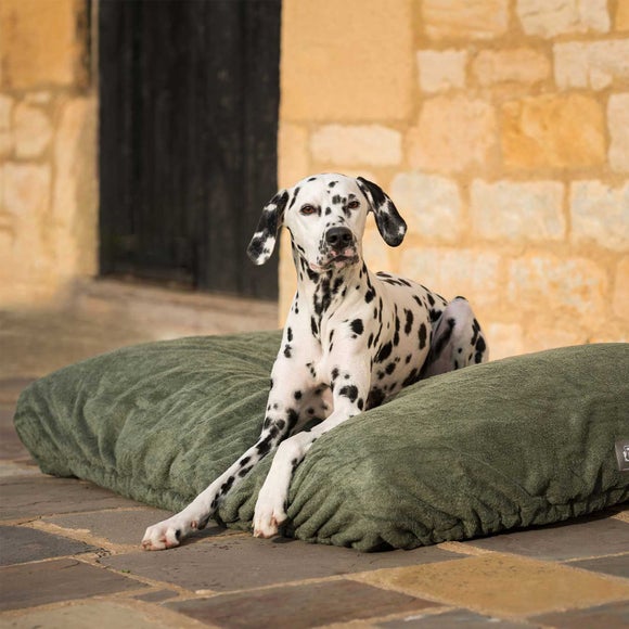 Lords and Labradors Bamboo Dog Drying Cushion Cover