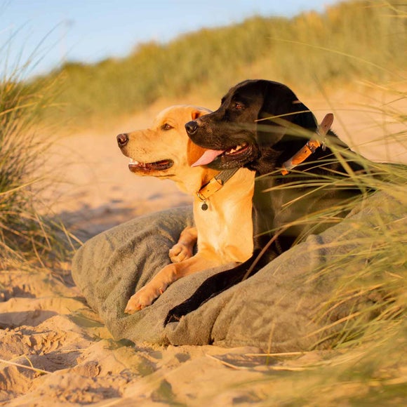 Carousel navigation image position 3 of 3