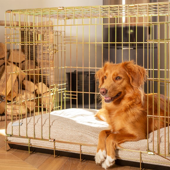 Carousel navigation image position 3 of 3