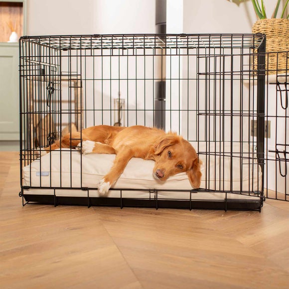 Carousel navigation image position 3 of 3