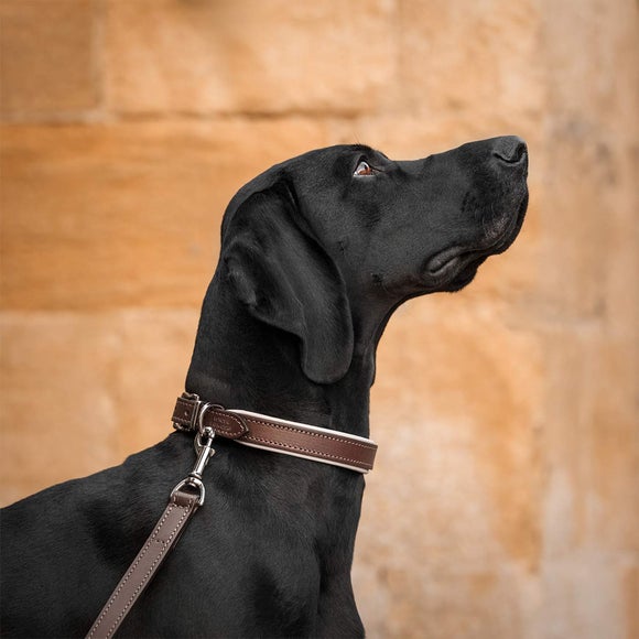 View Lords And Labradors Italian Padded Leather Dog Collar View Lords And Labradors Italian Padded Leather Dog Collar