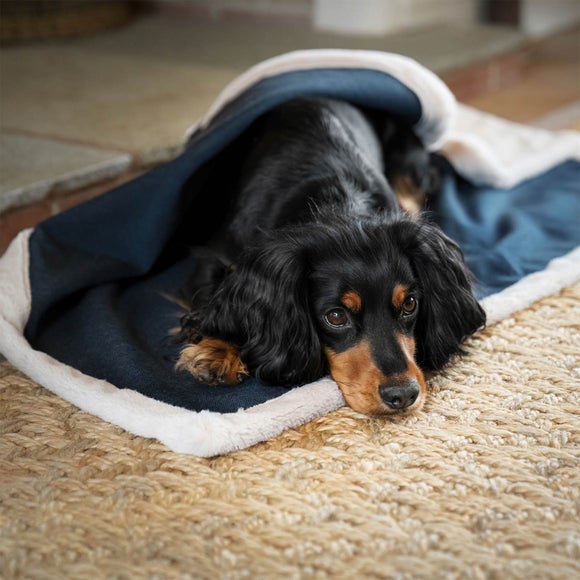 Photo 2 of Lords And Labradors Essentials Twill Dog Blanket
