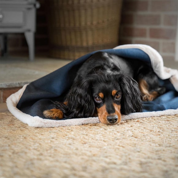 Lords And Labradors Essentials Twill Dog Blanket