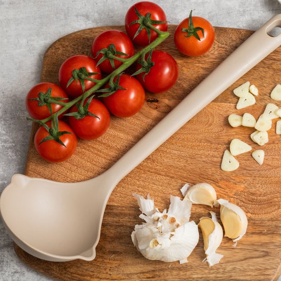 Click to view product details and reviews for Expressions Ladle.