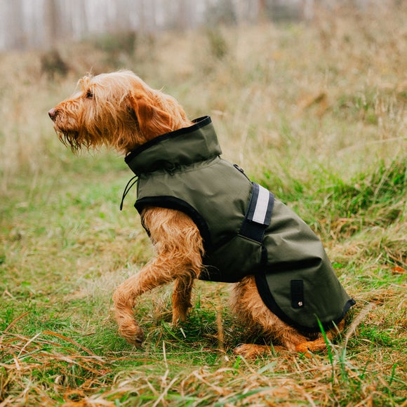 Carousel navigation image position 3 of 6