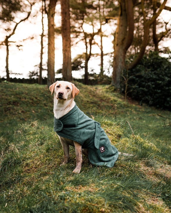 Photo 3 of Danish Design Towelling Dog Robe Photo 3 of Danish Design Towelling Dog Robe