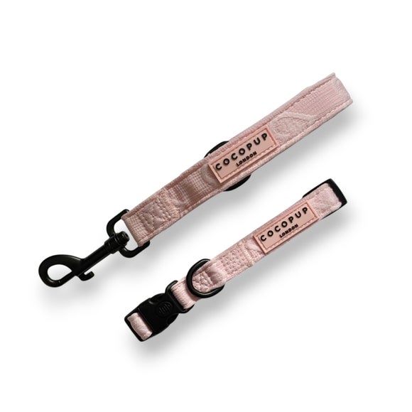 Carousel navigation image position 3 of 3