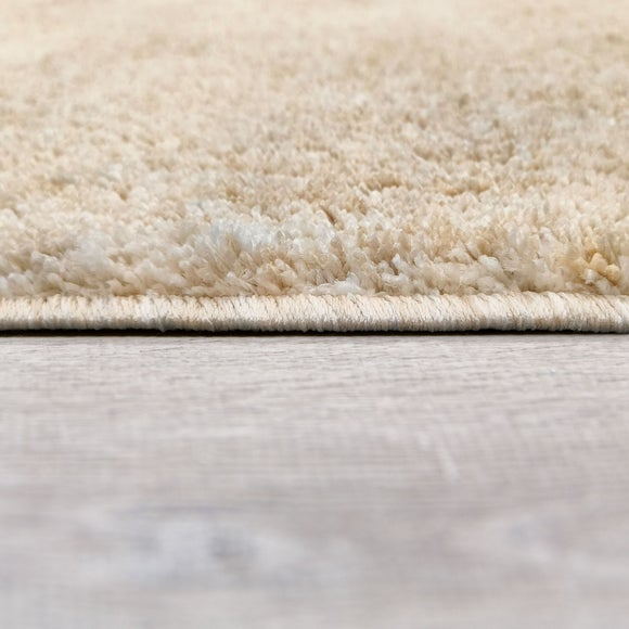 Carousel navigation image position 4 of 5