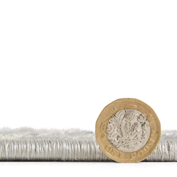 Carousel navigation image position 4 of 9