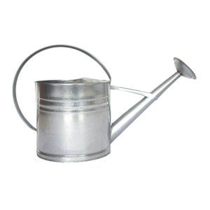 Fallen Fruits Zinc Watering Can