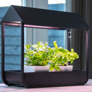 Fallen Fruits Plant Cold Frame With Grow Lamp