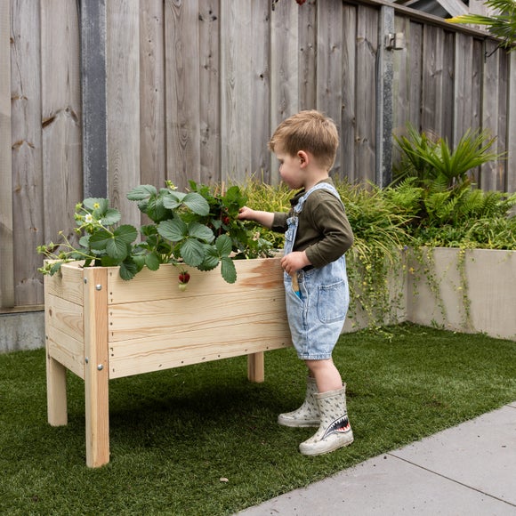 Fallen Fruits Childrens Raised Bed