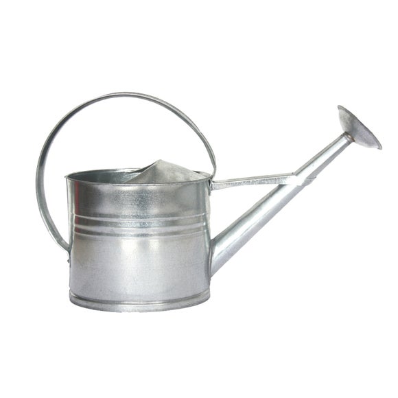 Click to view product details and reviews for Fallen Fruits Zinc Watering Can.