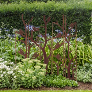 Fallen Fruits 5 Parts Chiffchaff Plant Support