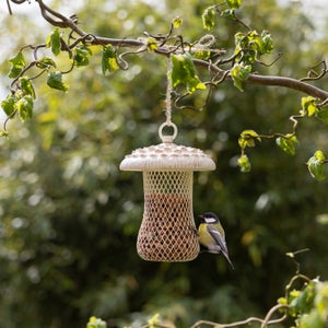 Fallen Fruits Mushroom Bird Feeder Parasol