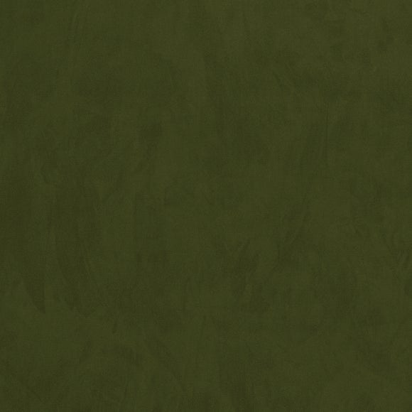 Carousel navigation image position 7 of 10