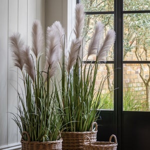 Cedar & Sage Artificial Pampas Grass In Plant Pot
