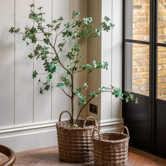 Cedar & Sage Artificial Medium Rhodoleia Tree In Black Plant Pot