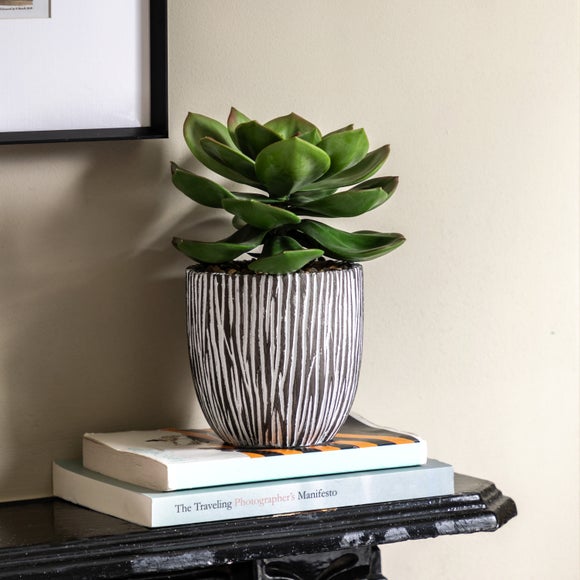 Cedar & Sage Artificial Succulent In Ribbed Ceramic Pot