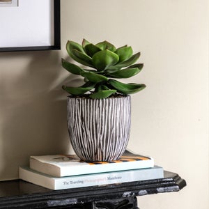 Cedar & Sage Artificial Succulent In Ribbed Ceramic Pot