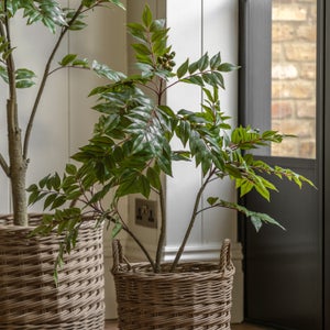 Cedar & Sage Artificial Small Chinese White Olive Tree In Black Plant Pot